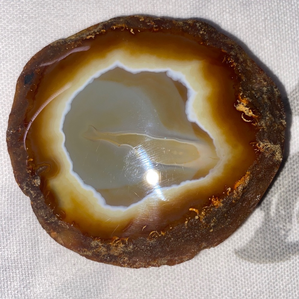Vintage Agate slice Belt Buckle by Gunther Lapidary Western Cowboy Rodeo‎